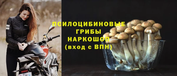 mdpv Магадан