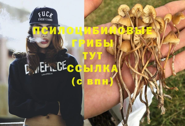 винт Сосновка