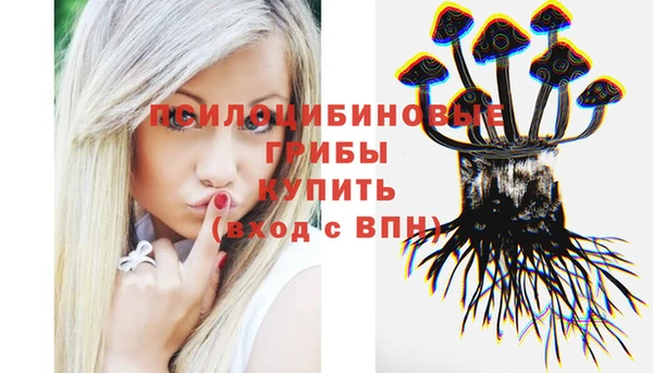 mdpv Магадан