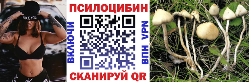 хочу наркоту  Малмыж  Псилоцибиновые грибы Magic Shrooms 