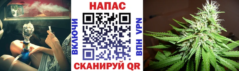Каннабис ГИДРОПОН Малмыж